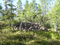 Skjerp ved Øyvann (be-2008-07-18-IMG 2447).JPG