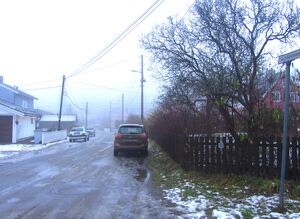 Skjoldveien Oslo 2014.jpg