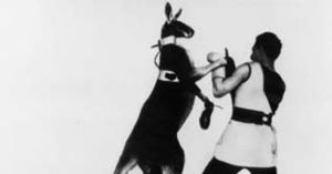 Skladanowsky wintergarten.jpg