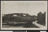 36. Skogavdelingen. Norges Landbrukshøiskole - no-nb digifoto 20150521 00070 bldsa PK24406.jpg