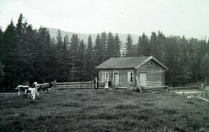 Skogli (Modum, gnr 144, boplass).JPG