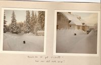 Hunden Bamse. Våningshuset sett mot øst. Foto: Ukjent(Willy eller Solveig Grønnerud?), ca 1967