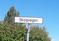 Skogvegen på Raufoss, vegnavn på skilt i østenden av vegen. Foto: Tor Olav Haugland (2022).