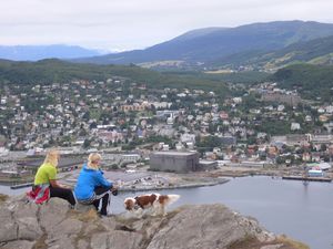 Skroghallen sett fra Gangsåstoppen.jpg