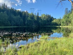 Skulerudtjern (juli 2020, bilde01).jpg