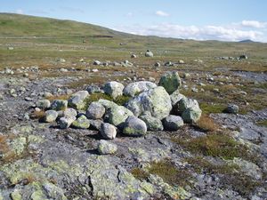 Skulevikvarden 2011.JPG