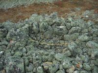 Čilla er den samiske betegnelsen på skyteskjul av stein. Det er registrert over 20 slike i nasjonalparken. Foto: Rudi A. Mikalsen/Samediggi