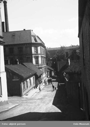 Slåmotgangen i Oslo 1937 OB.A12073.jpg