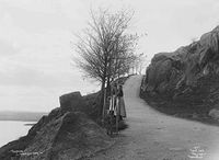 Gangveien opp til Slottsfjellet i 1902. Foto: Wilse