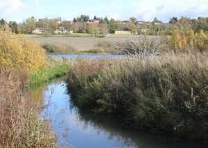 Smedbergbekken utløp.jpg