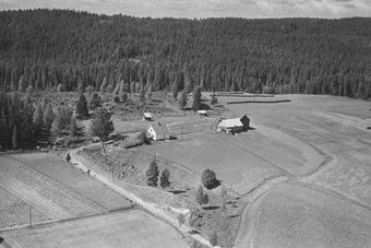 Smedstad nordre gnr 6 10 Skansgården Kongsvinger kommune.jpg