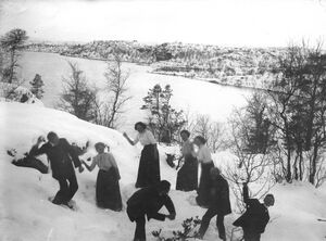 Snøballkrig 01.jpeg