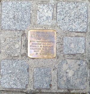 Snublestein Tormod Nygaard.jpg