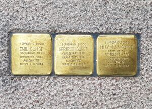 Snublesteiner Kolbotn Gunst.jpg