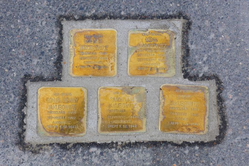 Fil:Snublesteiner Nadderudvn 16.JPG