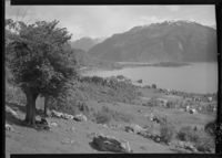 83. Sogn, Balholm - no-nb digifoto 20151030 00066 NB MIT FNR 00792.jpg