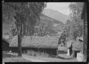 Sogn folkemuseum, Kaupanger - no-nb digifoto 20151020 00284 NB MIT FNR 03440 A.jpg