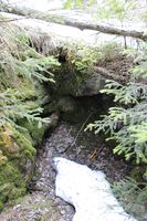 Den minste av synkene. Foto: Chris Nyborg (2014).