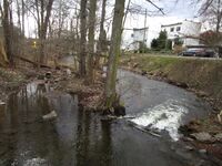 Sognsvannsbekken med bebyggelsen i Kvernstien på Vinderen i bakgrunnen. Foto: Stig Rune Pedersen (2015)