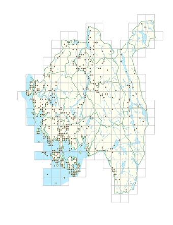 Solanum dulcamara 1.png
