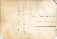 14. Solbjør julekort.jpg