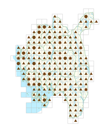 Solidago canadensis.png