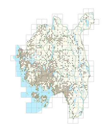 Solidago canadensis 1.png