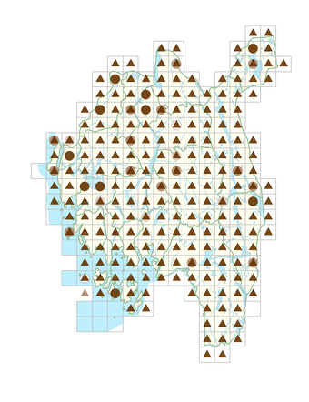 Solidago virgaurea subsp. virgaurea.png
