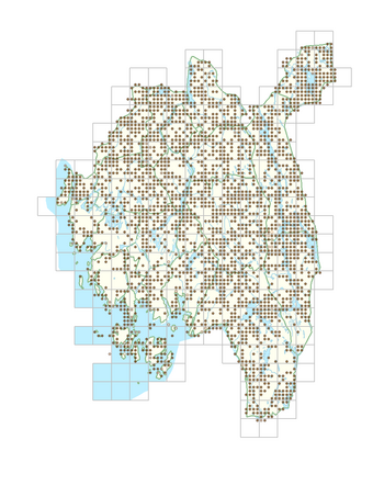 Solidago virgaurea subsp. virgaurea 1.png