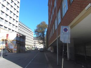 Solligata Oslo 2014.jpg