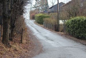 Solliveien Bærum 2016.jpg