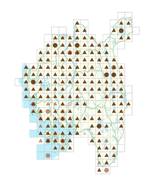 Sonchus arvensis.png