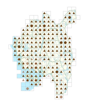 Sonchus arvensis.png