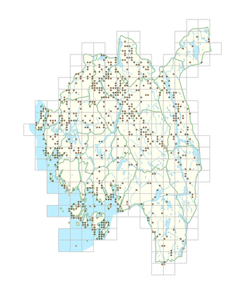 Sonchus arvensis 1.png