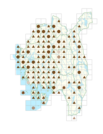 Sonchus oleraceus.png