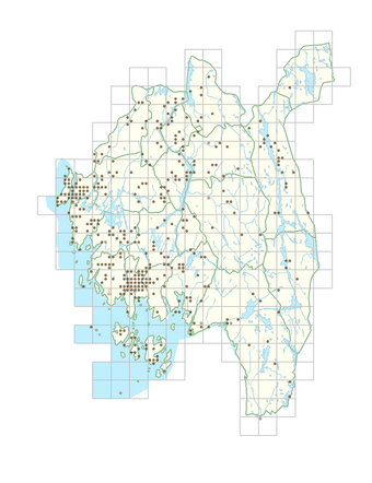 Sonchus oleraceus 1.png