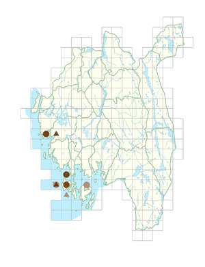 Sonchus palustris.png