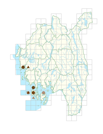 Sonchus palustris.png