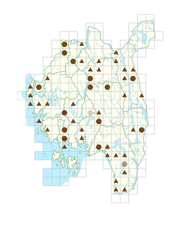 Sorbaria sorbifolia.png