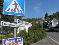 Motiv fra Sorenskriver Ellefsens vei i Drøbak. Foto: Stig Rune Pedersen