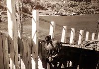 Håkon Berg held her på å diksle for bjelkevegar.