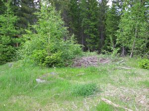 Spitplassen i 2009 (be-2009-06-11-IMG 6998).JPG