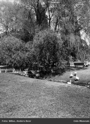St Hanshaugen park Wilse OB.Y2059.jpg