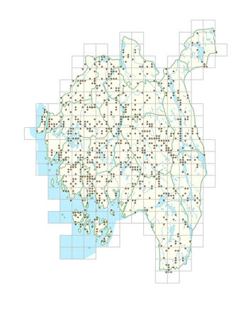 Stachys palustris 1.png