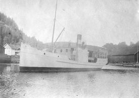 D/S «Stadshauptmand Schwartz» fra 1903, her utenfor brygga i Eidsfoss. Foto: Eiker Arkiv/Sameia Fotoarkiv (1903-1924).