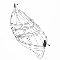 Stamntopper er (nesten) like bred hele veien.