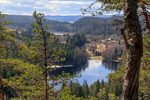 Stampetjernet 240427.jpg