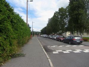 Starveien Oslo 2014.jpg