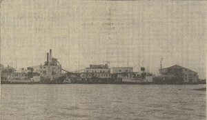 Stasjonen i Steinshamn.png