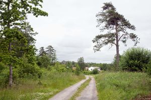 Stavern, Grevlelunden-1.jpg